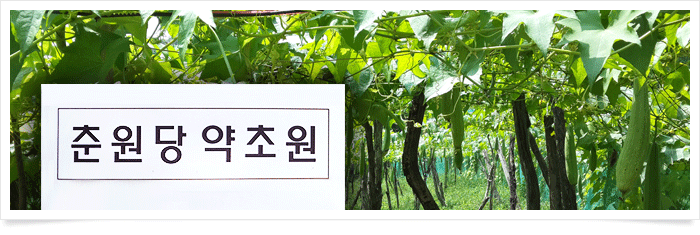 춘원당 약초원