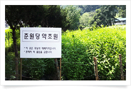 남양주 약초원 1