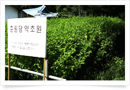 남양주 약초원 3